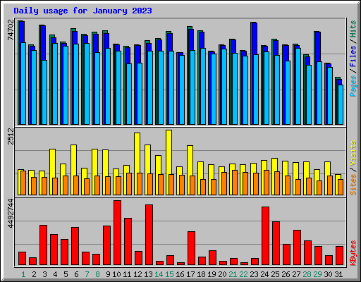 Daily usage for January 2023