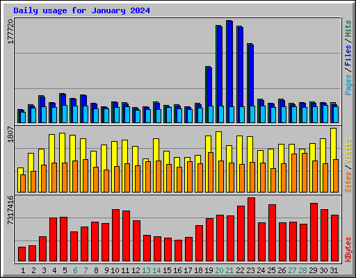 Daily usage for January 2024