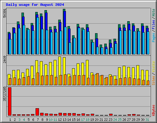 Daily usage for August 2024