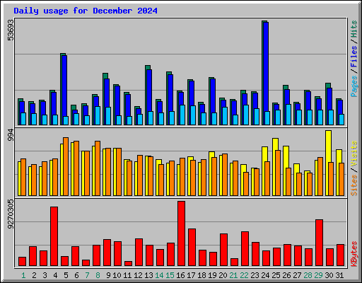 Daily usage for December 2024