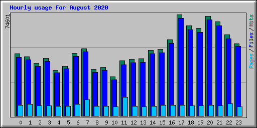 Hourly usage for August 2020