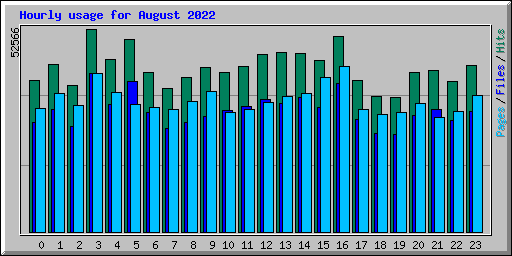 Hourly usage for August 2022