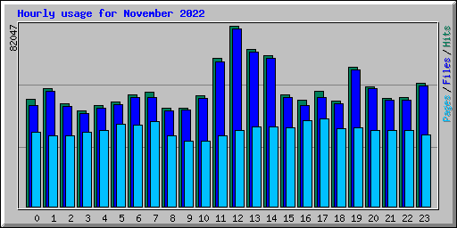 Hourly usage for November 2022