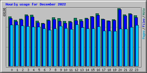 Hourly usage for December 2022