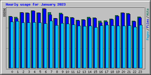 Hourly usage for January 2023