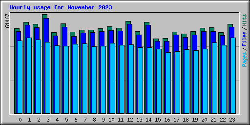 Hourly usage for November 2023