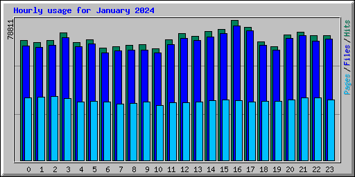 Hourly usage for January 2024