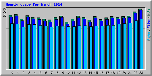 Hourly usage for March 2024