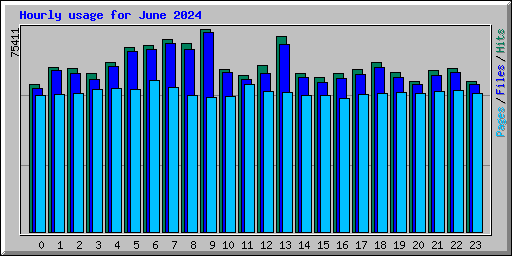 Hourly usage for June 2024