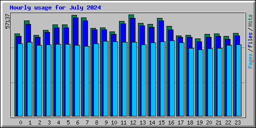 Hourly usage for July 2024