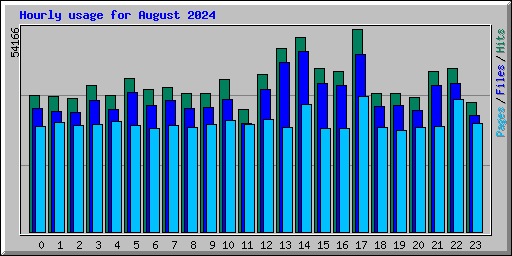 Hourly usage for August 2024