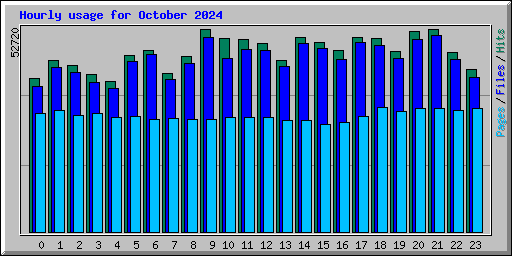 Hourly usage for October 2024