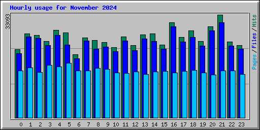 Hourly usage for November 2024