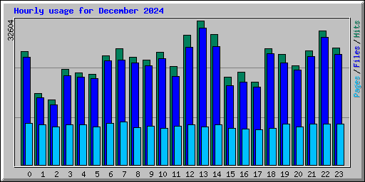 Hourly usage for December 2024