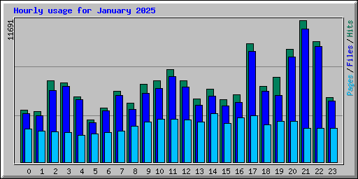 Hourly usage for January 2025