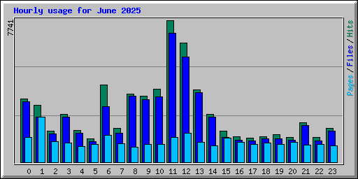 Hourly usage for June 2025