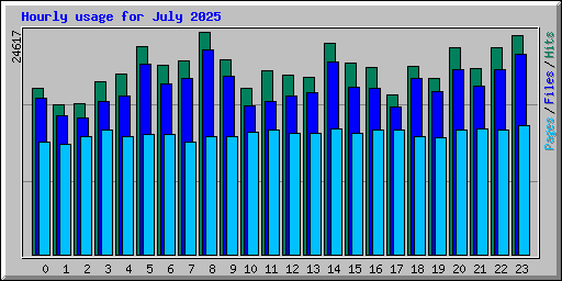 Hourly usage for July 2025
