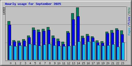 Hourly usage for September 2025