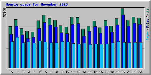 Hourly usage for November 2025
