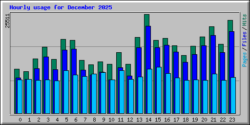 Hourly usage for December 2025