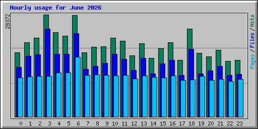 Hourly usage for June 2026